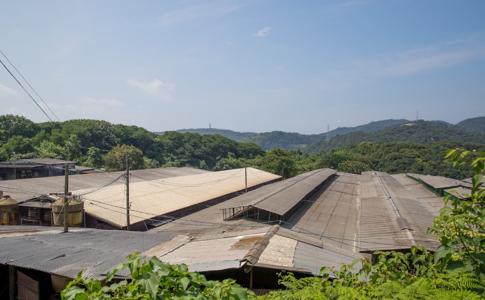 ふるさと納税 福山市 瀬戸のもち豚せと姫 全てを味わい尽くす 2560gのスペシャルセット 豚肉